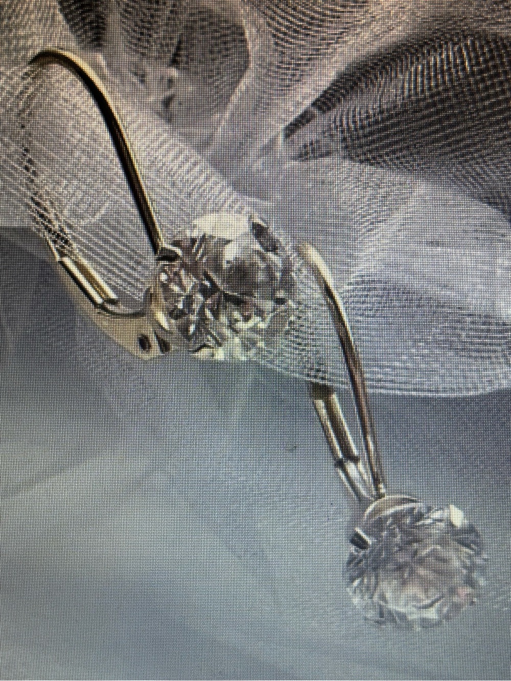 14 K and Diamonique lever back earrings